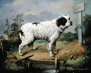 Ett Newfoundland på en banvall av Jean Baptiste Desgrange