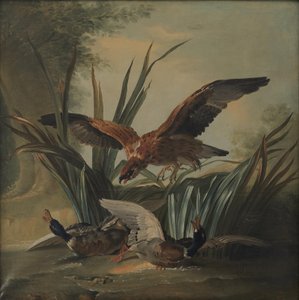En hök som slår på ett par ankor av Jean-Baptiste Oudry