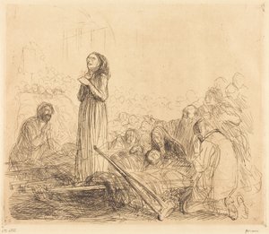 Lourdes, den mirakulösa (första planschen)