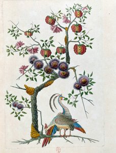 Ritning från en kinesisk vas: fågel och gren av blommor. Målning av Jean Antoine Fraisse (1700-talet)
