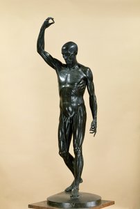 Flätad kropp (L