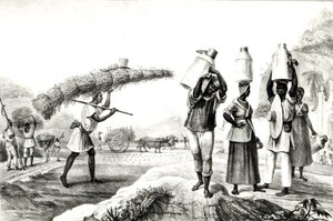 Mjölk- och Capimförsäljare, från "pittoresk och historisk resa till Brasilien"