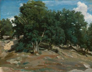 Fontainebleau: Oak Trees at Bas-Bréau, 1832-3 (olja på papper, nedlagd på trä) av Jean-Baptiste-Camille Corot