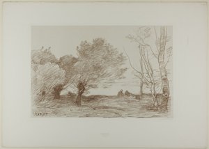 Vidgar och vita poppel av Jean-Baptiste-Camille Corot