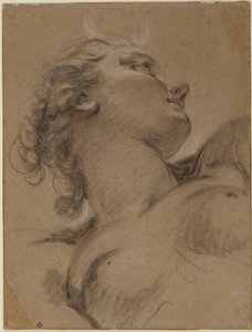 Kopf und Oberkörper von Diana