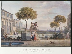 Orangeriet på museet i Paris 1794