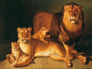 Lions stolthet