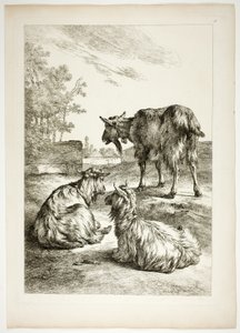 Platta arton av 38 från Oeuvres de J. B. Huet av Jean Baptiste Huet