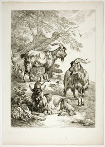 Plåt sjutton av 38 från Oeuvres de J. B. Huet av Jean Baptiste Huet