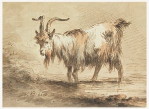 Studie av en get av Jean Baptiste Huet