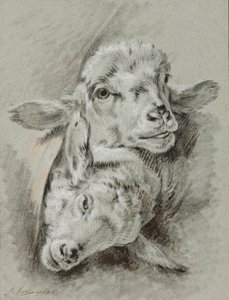 Studie av två får, 1768 (krita och tvätt på papper) av Jean Baptiste Huet