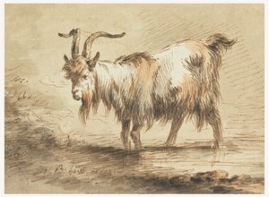 Teckning, studie av en get, 1772 av Jean Baptiste Huet