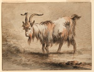 Teckning, studie av en get, 1772 av Jean Baptiste Huet