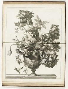 Bloemenvaas Books of Several Vazes of Flowers gjorda efter det naturliga (serietitel) av Jean Baptiste Monnoyer