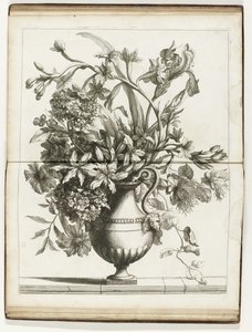 Bloemenvaas Books of Several Vazes of Flowers gjorda efter det naturliga (serietitel) av Jean Baptiste Monnoyer