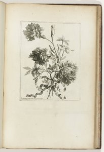 Inbunden bukett Les Petits Bouquets (serietitel) av Jean Baptiste Monnoyer