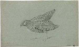Rapphöna av Jean Baptiste Oudry
