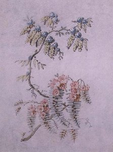 Dekorativ studie av blommor och bär av Jean Baptiste Pillement