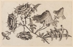 Flower Bough, från "Chinese Flower Collection" av Jean Baptiste Pillement
