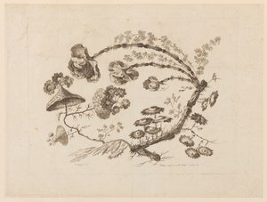 Flower Boughs, från "Samling av olika fantasiblommor i kinesisk smak" av Jean Baptiste Pillement