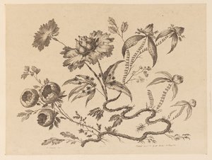 Blomma köpt, från "Collection of Different Fantasy Flowers in Chinese Taste" av Jean Baptiste Pillement