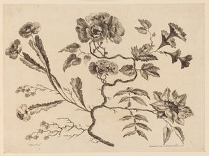 Flower Boughs, från "Samling av olika fantasiblommor i kinesisk smak" av Jean Baptiste Pillement