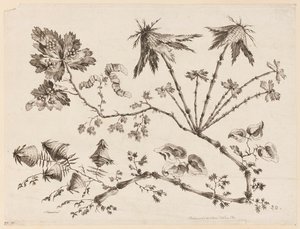 Flower Boughs, från "Collection of Different Fantasy Flowers in Chinese Taste" av Jean Baptiste Pillement