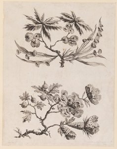 Blomkvistar från "Chinese Flower Collection" av Jean Baptiste Pillement