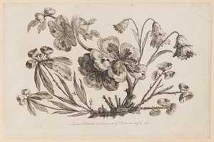 Flower Boughs, från "Collection of Chinese Flowers" av Jean Baptiste Pillement