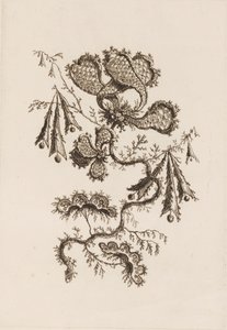 Flower Branch, från "Fleures Persannes" av Jean Baptiste Pillement