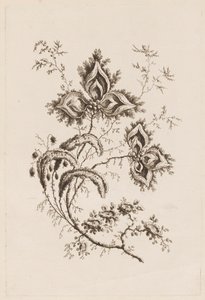 Flower Branch, från "Fleures Persannes" av Jean Baptiste Pillement