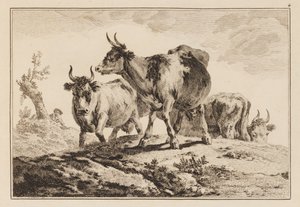 Plåt 4, från "Anteckningsbok med sex ark oxar och kor" av Jean Baptiste Pillement