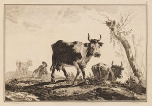 Plåt 5, "Anteckningsbok med sex ark oxar och kor" av Jean Baptiste Pillement