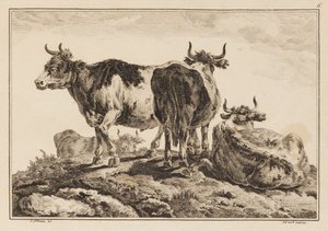 Tavla 6, från "Anteckningsbok med sex ark oxar och kor" av Jean Baptiste Pillement