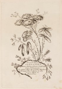 Titelsida, från "Persiska blommor" av Jean Baptiste Pillement