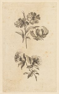 Två blomkvistar av Jean Baptiste Pillement
