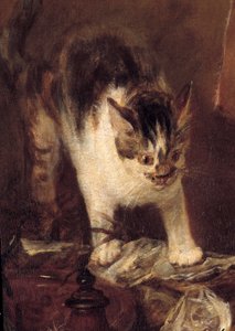 Stillebensskridsko av fisk, ostron, kanna. Kattdetalj. Målning av Jean Baptiste Simeon Chardin (1699-1779) 1727 Sön. 1,14 x 1,46 m Paris. Louvren av Jean Baptiste Simeon Chardin