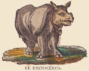 Das Nashorn, ca. 1840-1852 von Jean-Baptiste Thiebault