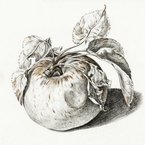 Apple av Jean Bernard