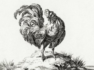 Kyckling, stående på en kulle av Jean Bernard