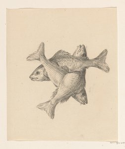 Tre korsvis ordnade fiskar av Jean Bernard
