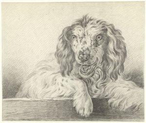 Hund av Jean Bernard