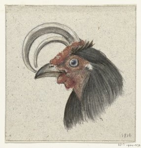 Huvud av en tupp av Jean Bernard