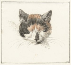 Huvudet av en calico-katt, framifrån, med slutna ögon av Jean Bernard