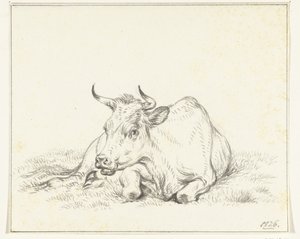 Liggande ko, framifrån av Jean Bernard