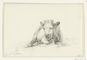 Liggande ko, framifrån av Jean Bernard