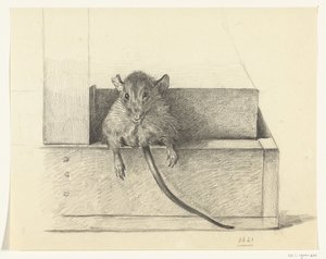 Mus (i en fälla?) av Jean Bernard