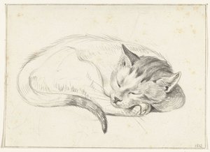 Uppkrupen, sovande katt av Jean Bernard