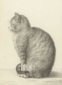 Sittande katt, till vänster. 1815