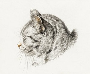 Skiss av en katt (1813)
